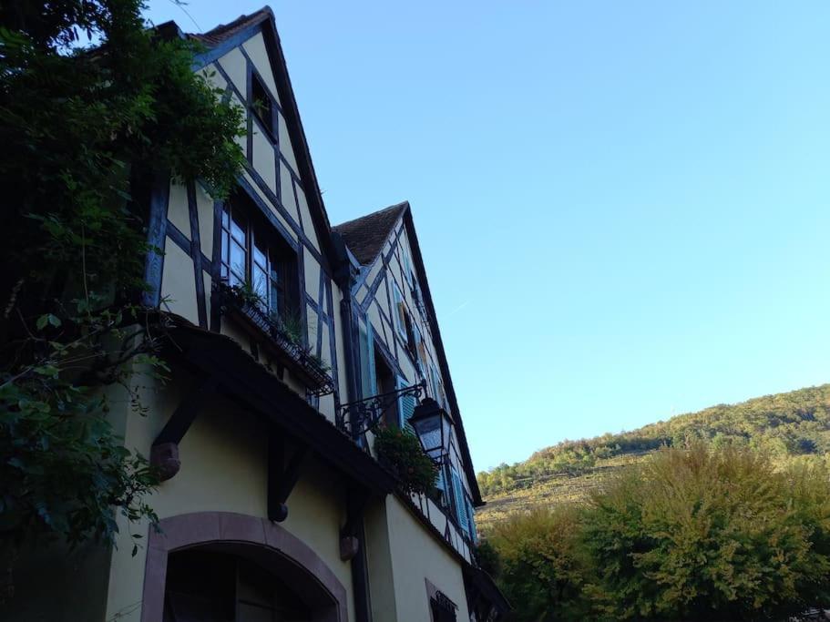 S'Gleina Gleck, In The Heart Of A Wine City, Charmant Studio 1 Piece Et 1 Salle De Bain Kaysersberg-Vignoble Екстериор снимка