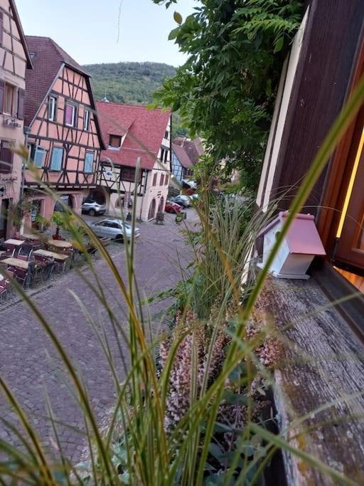 S'Gleina Gleck, In The Heart Of A Wine City, Charmant Studio 1 Piece Et 1 Salle De Bain Kaysersberg-Vignoble Екстериор снимка